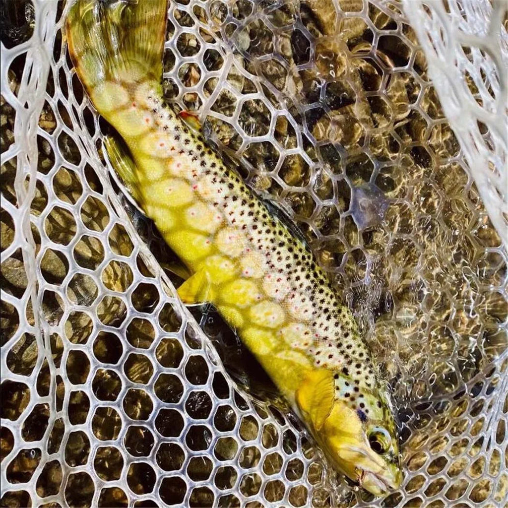 Fly Fishing Flies 10Pcs Fly Fishing Lures Bass Salmon Trouts Flies Dry/Wet Fishing Feather Bait Fishing Tackle