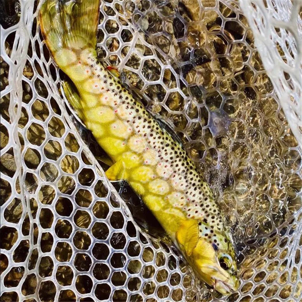Fly Fishing Flies 10Pcs Fly Fishing Lures Bass Salmon Trouts Flies Dry/Wet Fishing Feather Bait Fishing Tackle